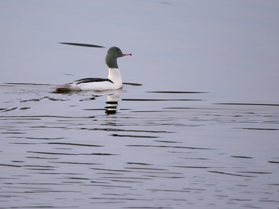 Kuvausmatka Oulun seudulle d1