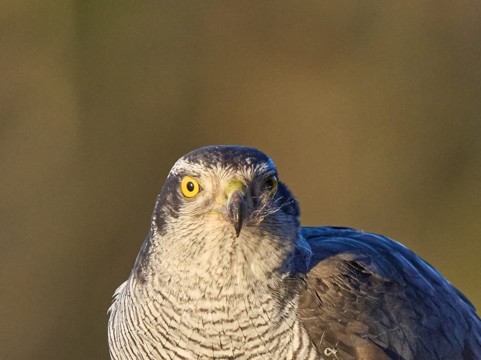 Kuvausmatka Oulun seudulle d3